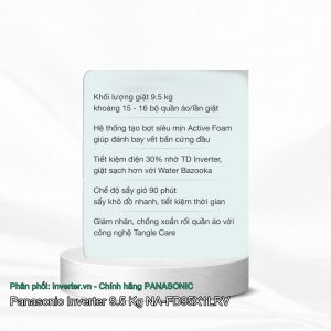 Panasonic Inverter 9.5 Kg NA-FD95X1LRV
